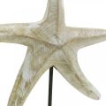 Floristik24 Seestern zum Stellen, Maritime Holzdeko Naturfarben, Weiß H23,5cm