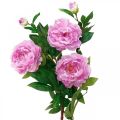 Floristik24 Seidenblume Pfingstrose künstlich Pink Violett 135cm