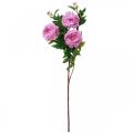 Floristik24 Seidenblume Pfingstrose künstlich Pink Violett 135cm