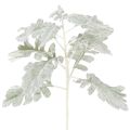 Floristik24 Künstlicher Senecio-Zweig Greiskraut Silberblatt 45cm 3 Stück