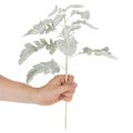 Künstlicher Senecio-Zweig Greiskraut Silberblatt 45cm 3 Stück | Floristik24.at