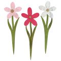 Floristik24 Sommerdeko Blüten als Stecker Rosa, Pink 32cm 6St