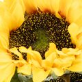 Sonnenblume künstlich 58cm mit Blättern und Blüten gelb-grün 3 Stiele | Floristik24.at