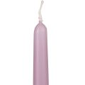 Spitzkerzen Stabkerzen Wenzel Kerzen Flieder 250/23mm 12 St | Floristik24.at