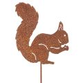 Floristik24 Gartenstecker Eichhörnchen aus Metall mit Rostoptik 52cm 2er-Set