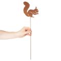 Gartenstecker Eichhörnchen aus Metall mit Rostoptik 52cm 2er-Set | Floristik24.at