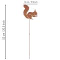 Gartenstecker Eichhörnchen aus Metall mit Rostoptik 52cm 2er-Set | Floristik24.at