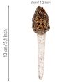 Künstlicher Deko-Morchel-Pilz aus Keramik, 13cm, Braun, 2er-Set | Floristik24.at
