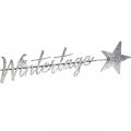 Floristik24 Weihnachtsstecker „Wintertage“, Metalldeko, Advent Silbern, Grau L58,5cm B10cm