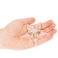 Dekoanhänger Stern Acryl irisierend klar 9cm 6er-Set | Floristik24.at