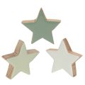 Floristik24 Holzstern-Set 9-teilig in Mintgrün und Weiß, 5 cm für Tisch- und Fensterdekoration