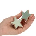 Holzstern-Set 9-teilig in Mintgrün und Weiß, 5 cm für Tisch- und Fensterdekoration | Floristik24.at