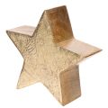 Deko-Sterne aus Holz Gold