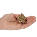 Deko-Sterne aus Holz goldfarben 5 cm 9 Stück für Innenbereich | Floristik24.at