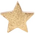 Deko-Sterne aus Holz goldfarben 5 cm 9 Stück für Innenbereich | Floristik24.at