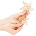 Deko Stern Set aus Draht Gold 7 cm und 10 cm 12 Stück Innenbereich | Floristik24.at