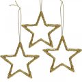 Floristik24 Weihnachtsdeko Stern Anhänger Golden Glitter 7,5cm 40St