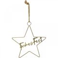 Floristik24 Stern “Frohes Fest”, Dekoring in Sternform, Metalldeko für Weihnachten Golden, Silbern 32×39,5cm