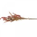 Floristik24 Kunstpflanzen Herbstdeko Disteln Beeren Farn 65cm Bund