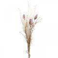 Mohnkapseln Deko Trockenblumen künstlich Farn Creme 63cm