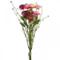 Rhodanthe Rosa-Pink, Seidenblumen, Kunstpflanze, Strohblumen-Bund L46cm