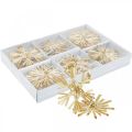 Floristik24 Strohsterne Glitzer Gold Set Weihnachtsschmuck Ø6cm 24St