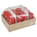 Stumpenkerzen H100 Ø50cm Rot Kerzen 12St | Floristik24.at
