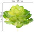 Künstliche Sukkulenten grün 10 cm, 4 Stück, Dekoration für Schale oder Vase | Floristik24.at