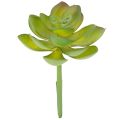 Floristik24 Künstliche Sukkulente grün, Kunststoff, 9 cm Höhe