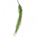 Sukkulente hängend künstlich Hängepflanze Grün 96cm
