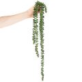 Künstliche Hängegirlande aus Kunststoff, grün, ca. 80 cm, für Wohnraumdekoration | Floristik24.at