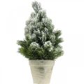 Floristik24 Mini Weihnachtsbaum im Topf Künstlich Beschneit Ø18cm H32cm