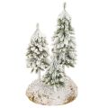Floristik24 Künstliche Schneetannen 29cm auf Styroporunterlage mit Moos für Tisch- und Weihnachtsdekoration