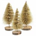 Floristik24 Mini Tannenbäume Tischdeko Gold Weihnachtsdeko H7cm 6St