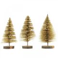 Floristik24 Mini Tannenbäume Tischdeko Gold Weihnachtsdeko H7cm 6St