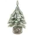 Floristik24 Tannenbaum mit Schnee, Weihnachtsdeko, Deko-Tanne H14cm