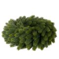 Künstlicher Weihnachtskranz aus Tannenzweigen grün rund 50 cm | Floristik24.at