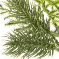Künstlicher Tannenzweig aus Kunststoff 22cm Grün 2 Stück Innenbereich | Floristik24.at