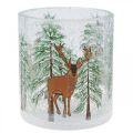 Floristik24 Teelichthalter Glas Weihnachten Crackle Teelichtglas H10cm
