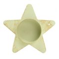 Floristik24 Teelichthalter Stern zum Stecken Creme 9x23,5cm 1St