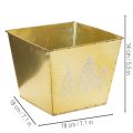 Pflanzgefäß aus Metall mit Tannenmotiv goldfarben 18x18x14cm | Floristik24.at
