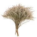 Floristik24 Strandflieder Trockenblume Natur gebündelt 1 kg