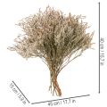Strandflieder Trockenblume Natur gebündelt 1 kg | Floristik24.at