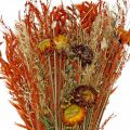 Floristik24 Trockenblumen Bouquet Orange-Mix 42cm