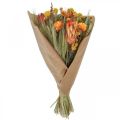 Floristik24 Trockenblumenstrauß Strauß Wiesenblumen Orange H50cm 300g