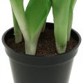 Tulpe Rosa, Grün im Topf Künstliche Topfpflanze Dekotulpe H23cm