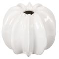 Floristik24 Kürbis-Keramikvase weiß 15cm Dekoration für Zuhause