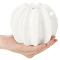 Kürbis-Keramikvase weiß 15cm Dekoration für Zuhause | Floristik24.at