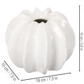 Kürbis-Dekovase Keramik weiß glänzend 19cm für Wohnzimmerdeko | Floristik24.at