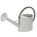 Floristik24 Gießkanne Metall silbergrau 53x29cm Balkon Terrasse Wohnbereich